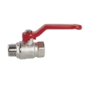 Ball Valve A307